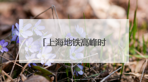 上海地铁高峰时段，5元一次50元包月？官方：坚决反对！