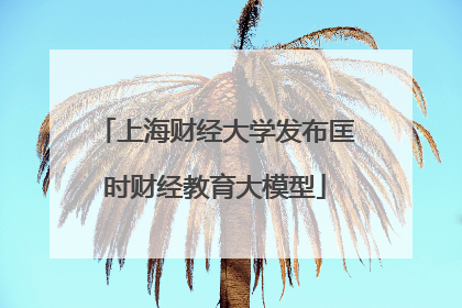 上海财经大学发布匡时财经教育大模型