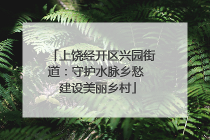 上饶经开区兴园街道：守护水脉乡愁 建设美丽乡村