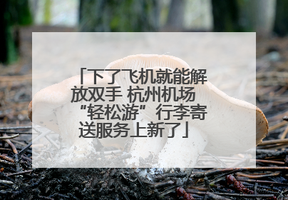 下了飞机就能解放双手 杭州机场“轻松游”行李寄送服务上新了