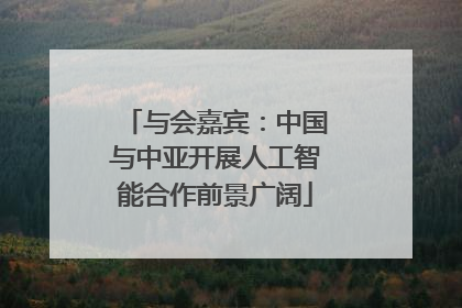 与会嘉宾：中国与中亚开展人工智能合作前景广阔