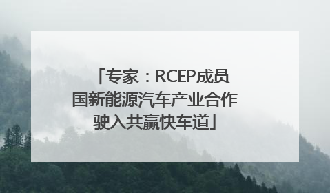 专家：RCEP成员国新能源汽车产业合作驶入共赢快车道