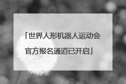 世界人形机器人运动会官方报名通道已开启