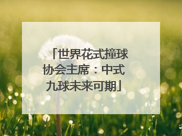 世界花式撞球协会主席：中式九球未来可期