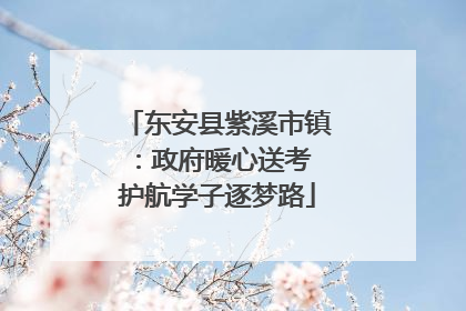 东安县紫溪市镇:政府暖心送考 护航学子逐梦路