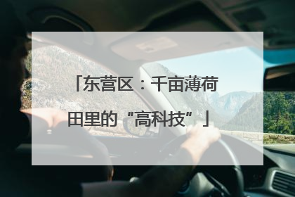 东营区：千亩薄荷田里的“高科技”