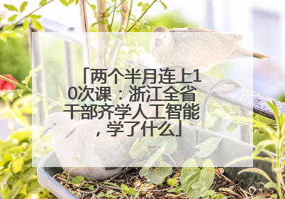 两个半月连上10次课：浙江全省干部齐学人工智能，学了什么