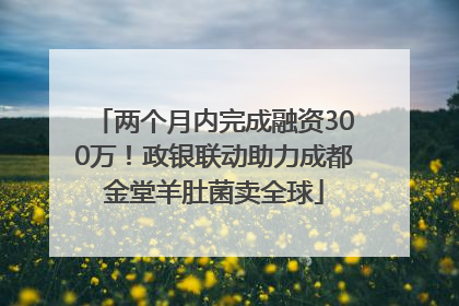 两个月内完成融资300万！政银联动助力成都金堂羊肚菌卖全球