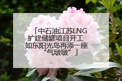 中石油江苏LNG扩建储罐项目开工 如东阳光岛再添一座“气墩墩”