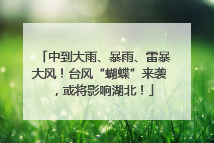 中到大雨、暴雨、雷暴大风！台风“蝴蝶”来袭，或将影响湖北！