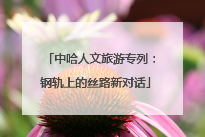 中哈人文旅游专列：钢轨上的丝路新对话