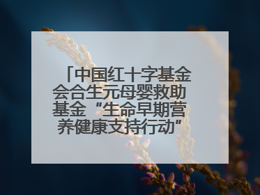 中国红十字基金会合生元母婴救助基金“生命早期营养健康支持行动”走进新疆，开启守护母婴新篇章！