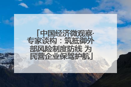 中国经济微观察·专家谈构：筑抵御外部风险制度防线 为民营企业保驾护航