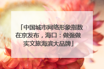 中国城市网络形象指数在京发布，海口：做强做实文旅海滨大品牌
