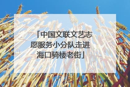 中国文联文艺志愿服务小分队走进海口骑楼老街