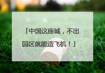 中国这座城，不出园区就能造飞机！