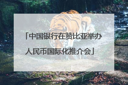 中国银行在赞比亚举办人民币国际化推介会