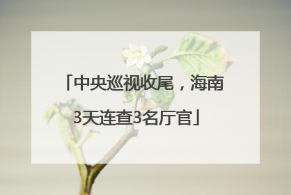 中央巡视收尾，海南3天连查3名厅官