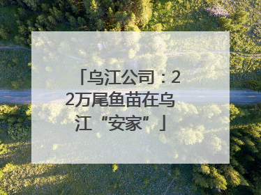 乌江公司：22万尾鱼苗在乌江“安家”