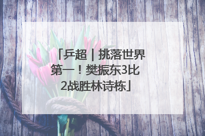 乒超｜挑落世界第一！樊振东3比2战胜林诗栋