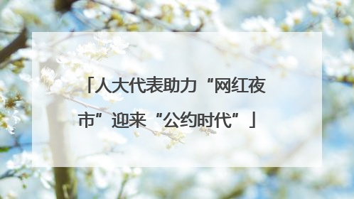 人大代表助力“网红夜市”迎来“公约时代”