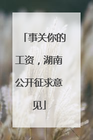 事关你的工资，湖南公开征求意见