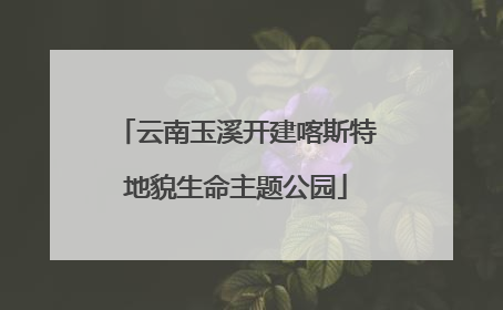 云南玉溪开建喀斯特地貌生命主题公园