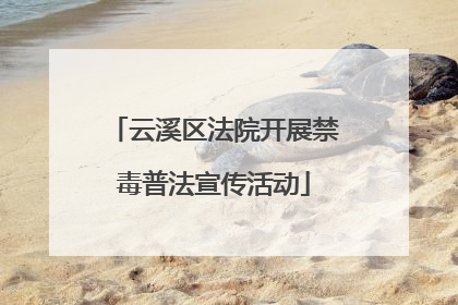 云溪区法院开展禁毒普法宣传活动