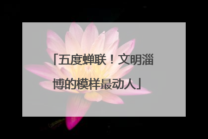 五度蝉联！文明淄博的模样最动人