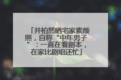 井柏然晒宅家素颜照，自称“中年男子”：一直在看剧本，在家比剧组还忙
