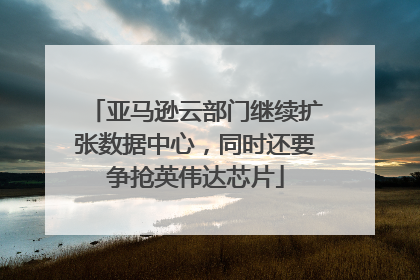 亚马逊云部门继续扩张数据中心，同时还要争抢英伟达芯片