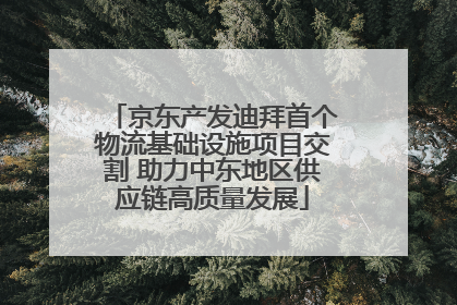 京东产发迪拜首个物流基础设施项目交割 助力中东地区供应链高质量发展