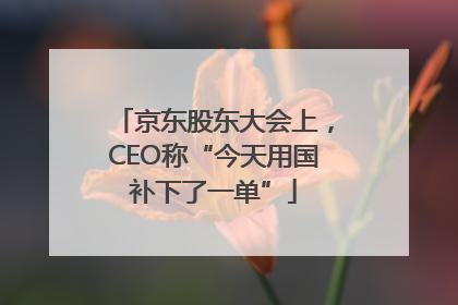 京东股东大会上，CEO称“今天用国补下了一单”