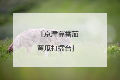 京津冀番茄黄瓜打擂台