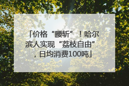 价格“腰斩”！哈尔滨人实现“荔枝自由”，日均消费100吨