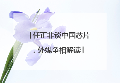 任正非谈中国芯片，外媒争相解读