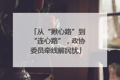 从“揪心路”到“连心路”，政协委员牵线解民忧