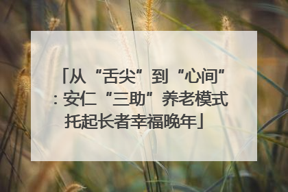 从“舌尖”到“心间”：安仁“三助”养老模式托起长者幸福晚年