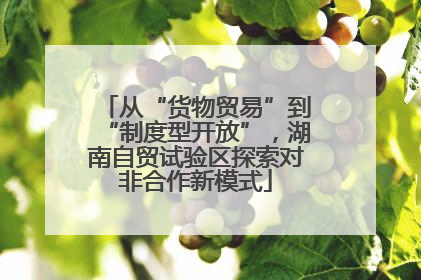 从“货物贸易”到“制度型开放”，湖南自贸试验区探索对非合作新模式