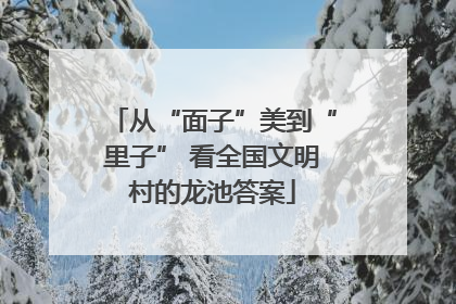从“面子”美到“里子” 看全国文明村的龙池答案
