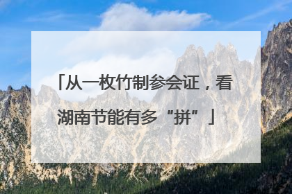 从一枚竹制参会证，看湖南节能有多“拼”