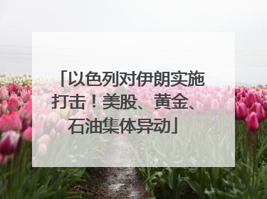 以色列对伊朗实施打击！美股、黄金、石油集体异动