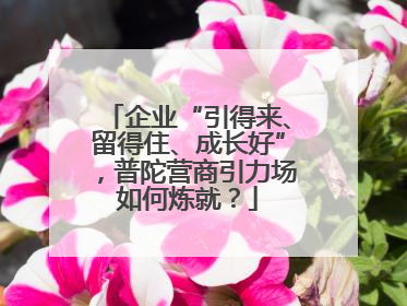 企业“引得来、留得住、成长好”，普陀营商引力场如何炼就？