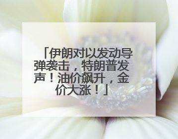 伊朗对以发动导弹袭击，特朗普发声！油价飙升，金价大涨！