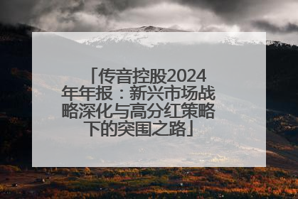 传音控股2024年年报：新兴市场战略深化与高分红策略下的突围之路