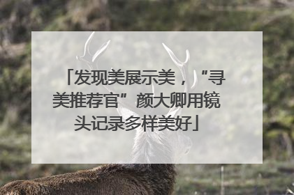 发现美展示美，“寻美推荐官”颜大卿用镜头记录多样美好