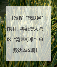 发挥“软联通”作用，粤港澳大湾区“湾区标准”总数达235项
