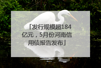 发行规模超184亿元，5月份河南信用债报告发布