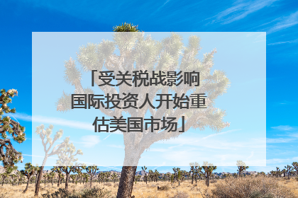受关税战影响 国际投资人开始重估美国市场
