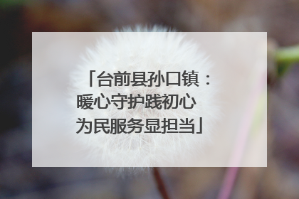 台前县孙口镇：暖心守护践初心 为民服务显担当